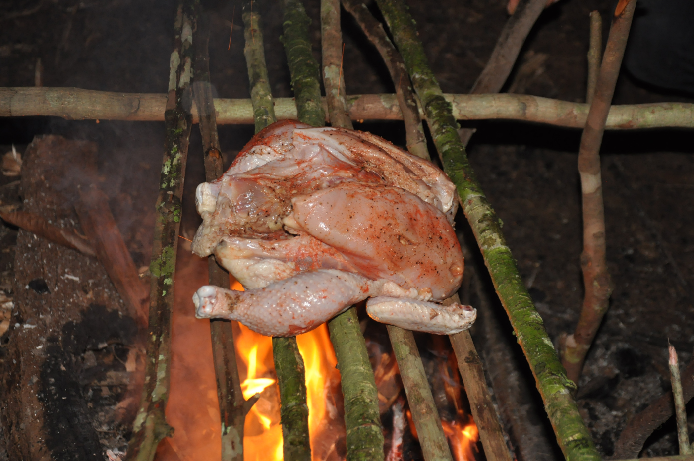 Brazylia - Manaus - Amazonka